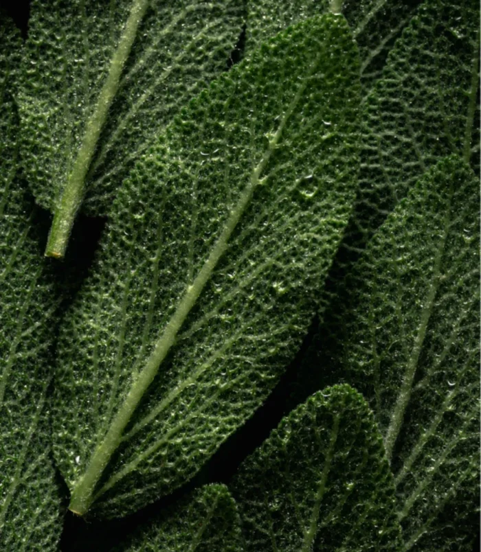 1 1