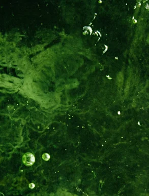 3 3