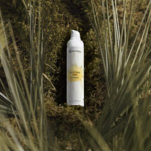 imcdq1yacf9zy7ukq7egr3f1bknxchcv.jpg